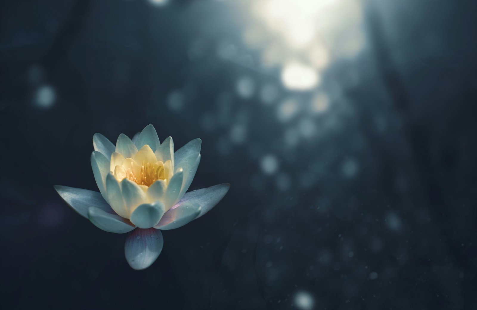 Sky Meditation for Clarity and Oneness | Meditation Foundation
